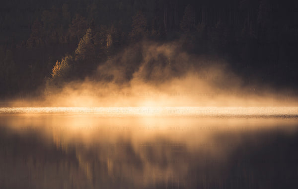 Mist rising over lake at sunrise, forest shore