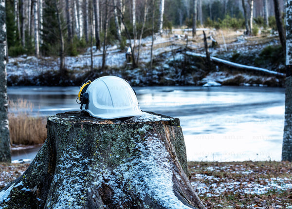 White safety helmet on tree stump by lake, winter morning