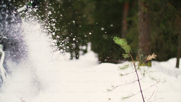 Fatbike Riding Through Snowy Forest in Luleå, Sweden: Winter Adventure