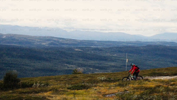 Mountain biker rides downhill trail in summer