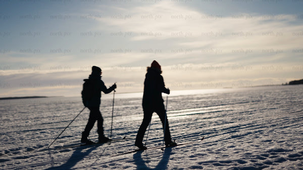 Cross-country skiing in winter, Luleå: A sunny day on the frozen sea