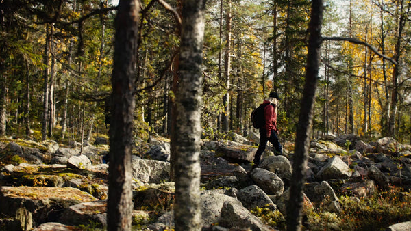 Autumn hike in Luleå: Two hikers exploring the forest