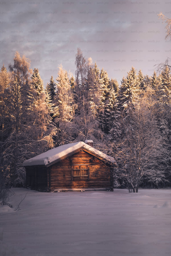 Wooden log cabin in snowy forest at sunset