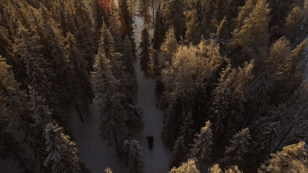Snowmobile riding through snowy forest at sunset in Gunnarsbyn