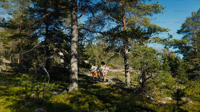 Summer hike in Luleå archipelago: Group exploring sunny forest trail