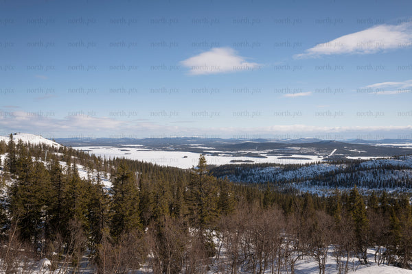 Snow-covered forest and frozen lake in winter morning