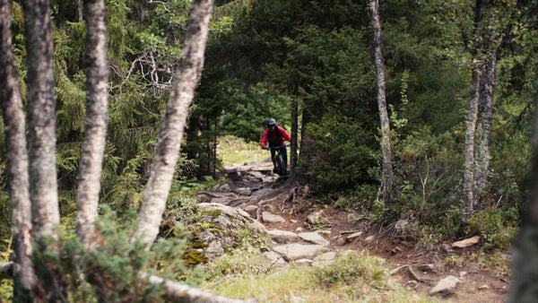 Man mountain biking downhill on forest trail