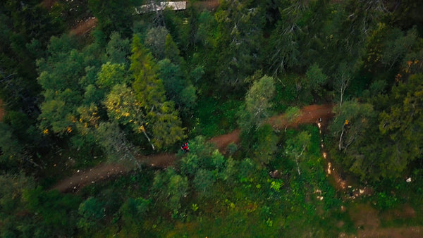 Quad bike or ATV rider descends forest trail in summer