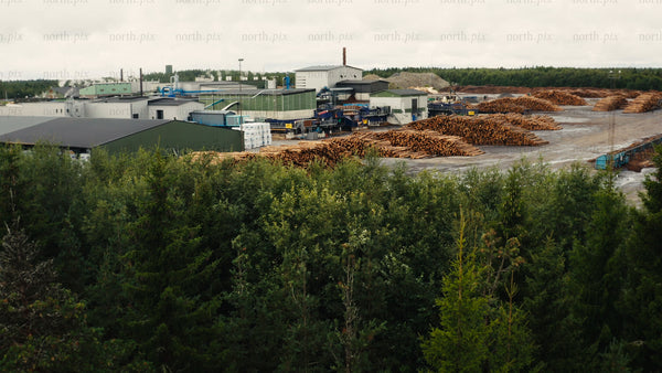 Lumber mill with stacks of logs on a cloudy summer day
