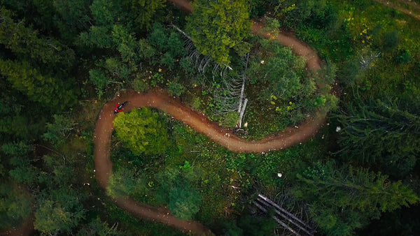 Mountain biker riding downhill on winding forest trail in summer