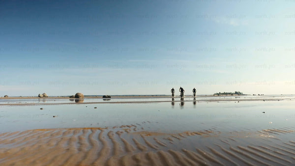 Group fat biking on wet sand at sandön archipelago beach in Luleå̊