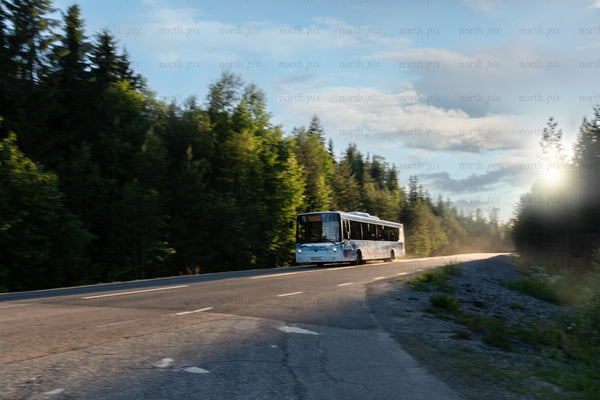 Bus driving on forest road at sunset
