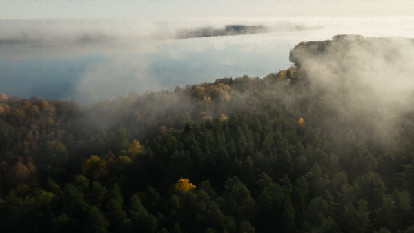Misty autumn forest and lake aerial view