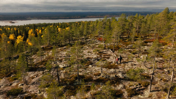 Autumn hike in Luleå: Drone view of hikers on Bällingeberget by the Luleälven