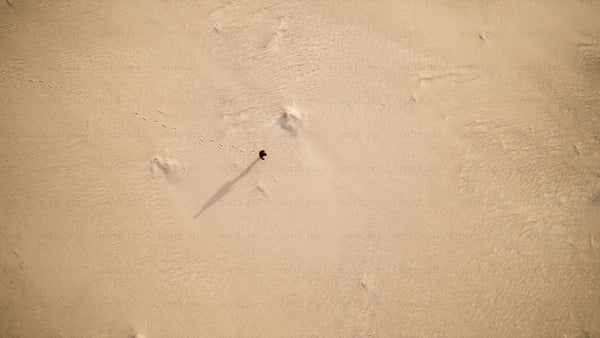 Aerial view of person walking on sandy beach in Skvalpen archipelago, Luleå