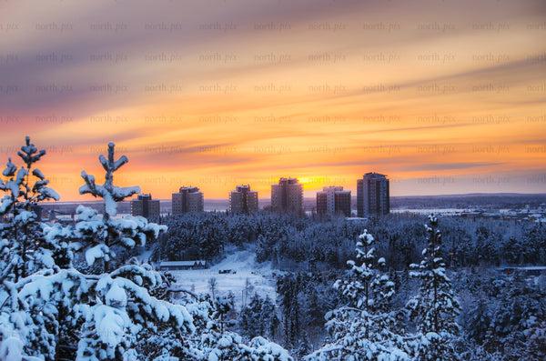 High-rise apartment towers above snowy pine forest at sunset