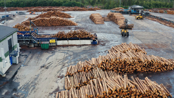 Aerial view of forestry industry: Logs, machinery, and summer operations