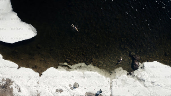 Winter ice bath in Luleå: Two people swimming in freezing water