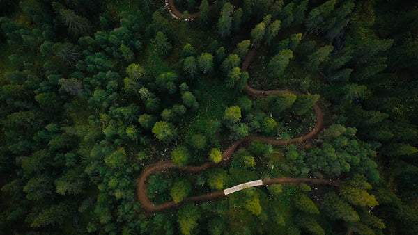 Mountain biker riding downhill trail through forest