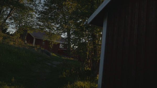 Summer evening in Luleå archipelago: Red cabin by the water