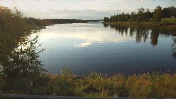 Golden hour serenity: Calm water reflecting sun and green forest in Northern landscape