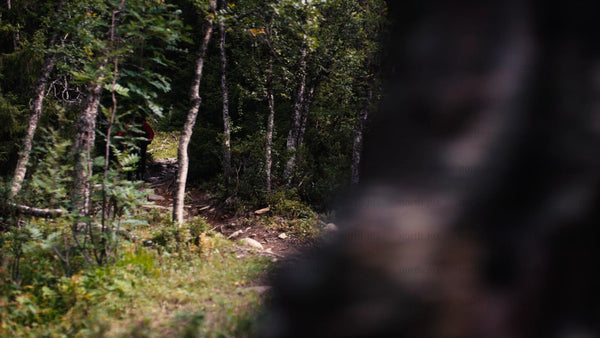 Mountain biker on downhill trail next to waterfall in summer
