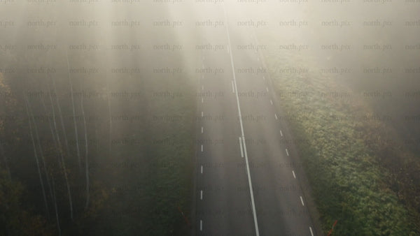 Misty forest road: Car driving through autumn fog
