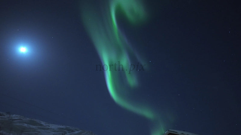 Northern Lights
