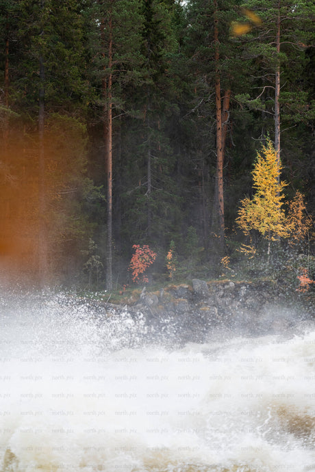 River rapids against rocky autumn forest shore