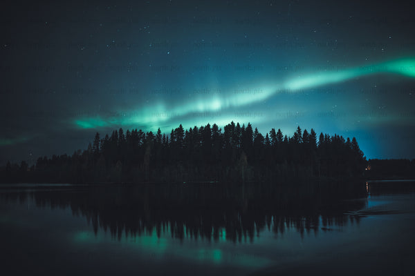 Northern Lights over forest and gäddvik at night