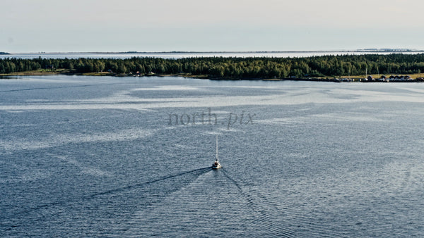 Sailboat in Summer Day at Junkön Archipelago, Luleå, Sweden