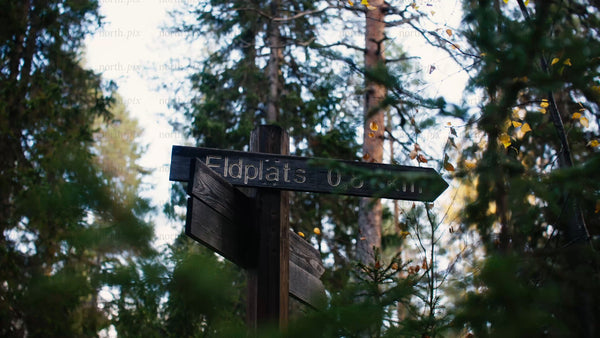 Autumn forest signpost in Luleå: A close-up view