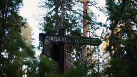Autumn Forest Signpost in Luleå, Sweden: A Close-Up View