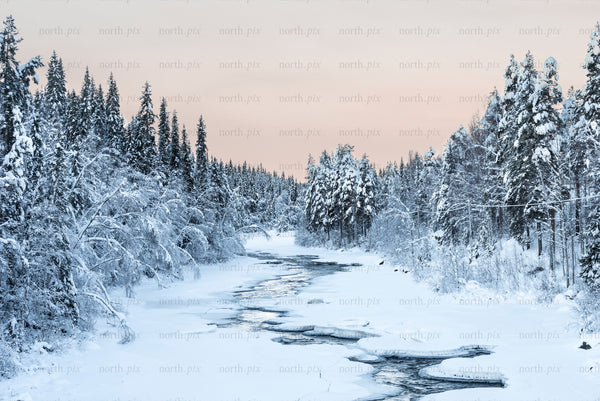 Frozen river winding through snow-covered pine forest at dusk