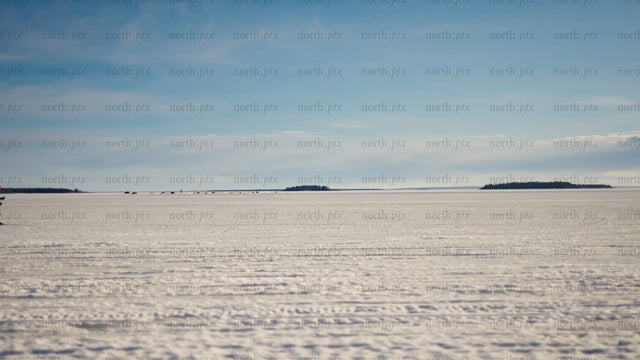 Cross-country skiing in winter