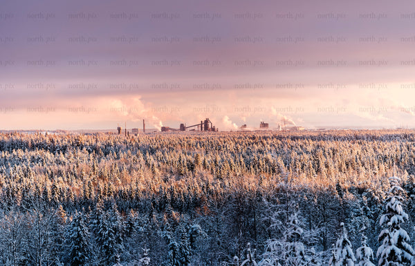 Industrial plant beyond snowy forest at sunrise