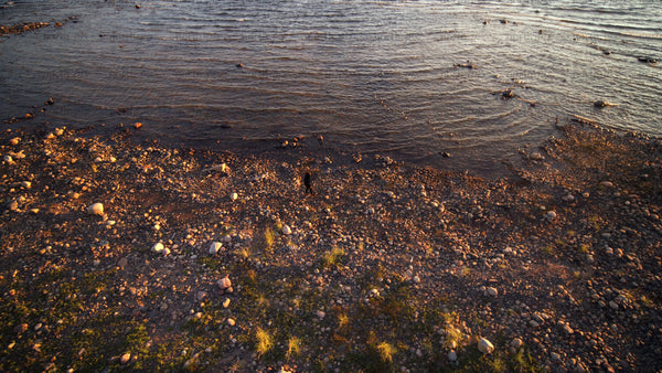 Golden hour walk on a rocky beach in the Luleå archipelago