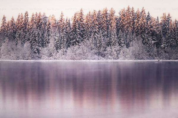 Snow-covered forest and frozen lake with sunrise reflection