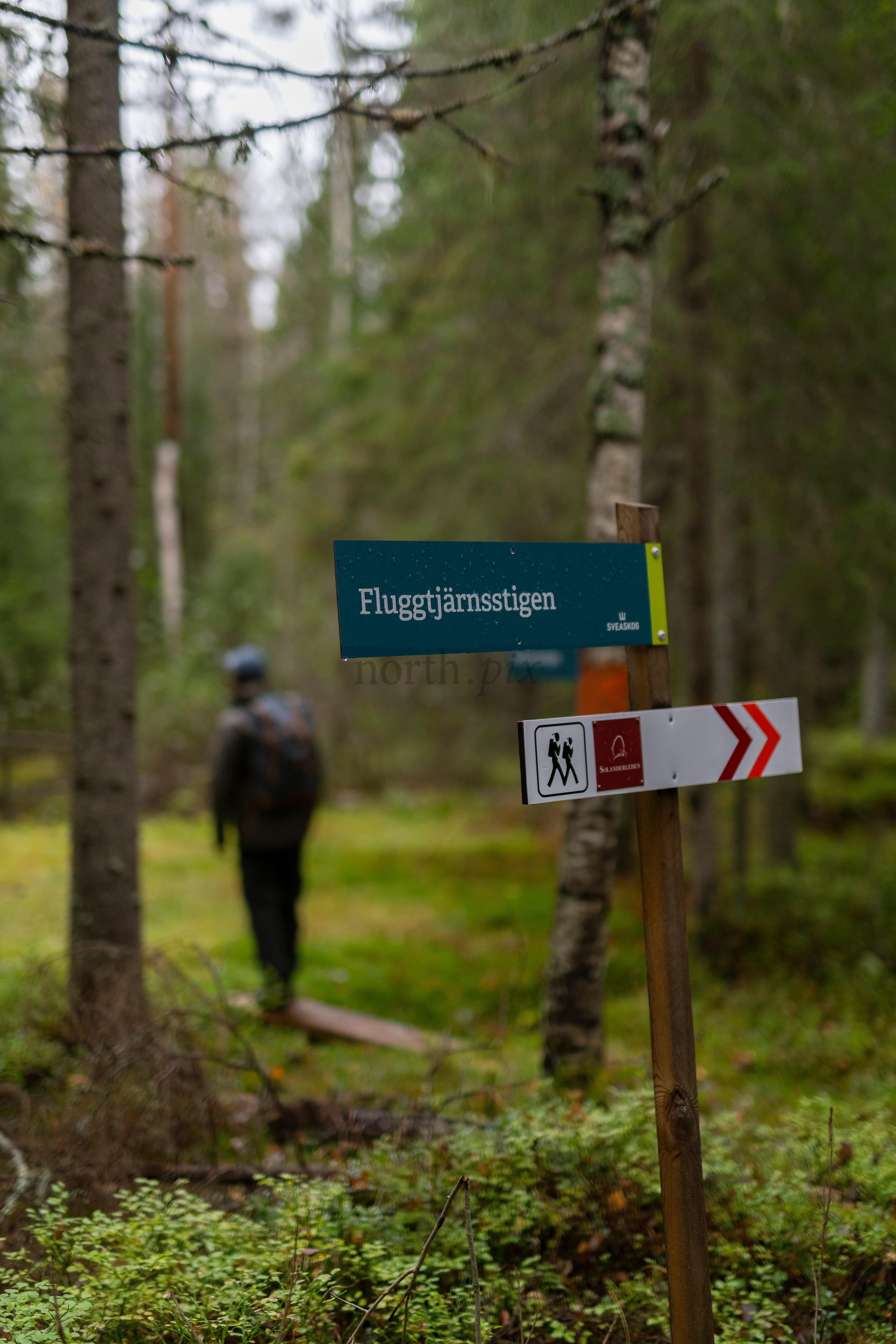 _DSC7567.jpg