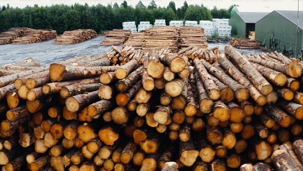 Aerial view of log stacks in lumber yard: Forestry industry and deforestation