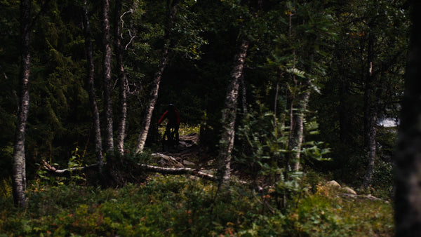 Mountain biker rides downhill in forest near waterfall in summer