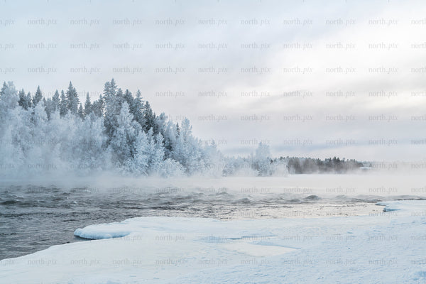 Frozen river and frosted forest in winter morning