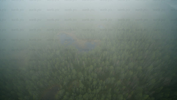 Wind turbines in a foggy forest: Aerial view of renewable energy in Haraholmen