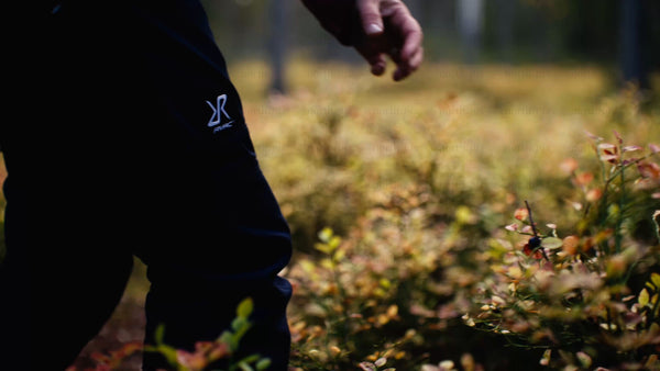 Picking berries in an autumn forest in Luleå