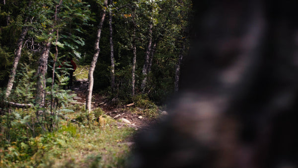 Mountain biker on downhill trail next to waterfall in summer