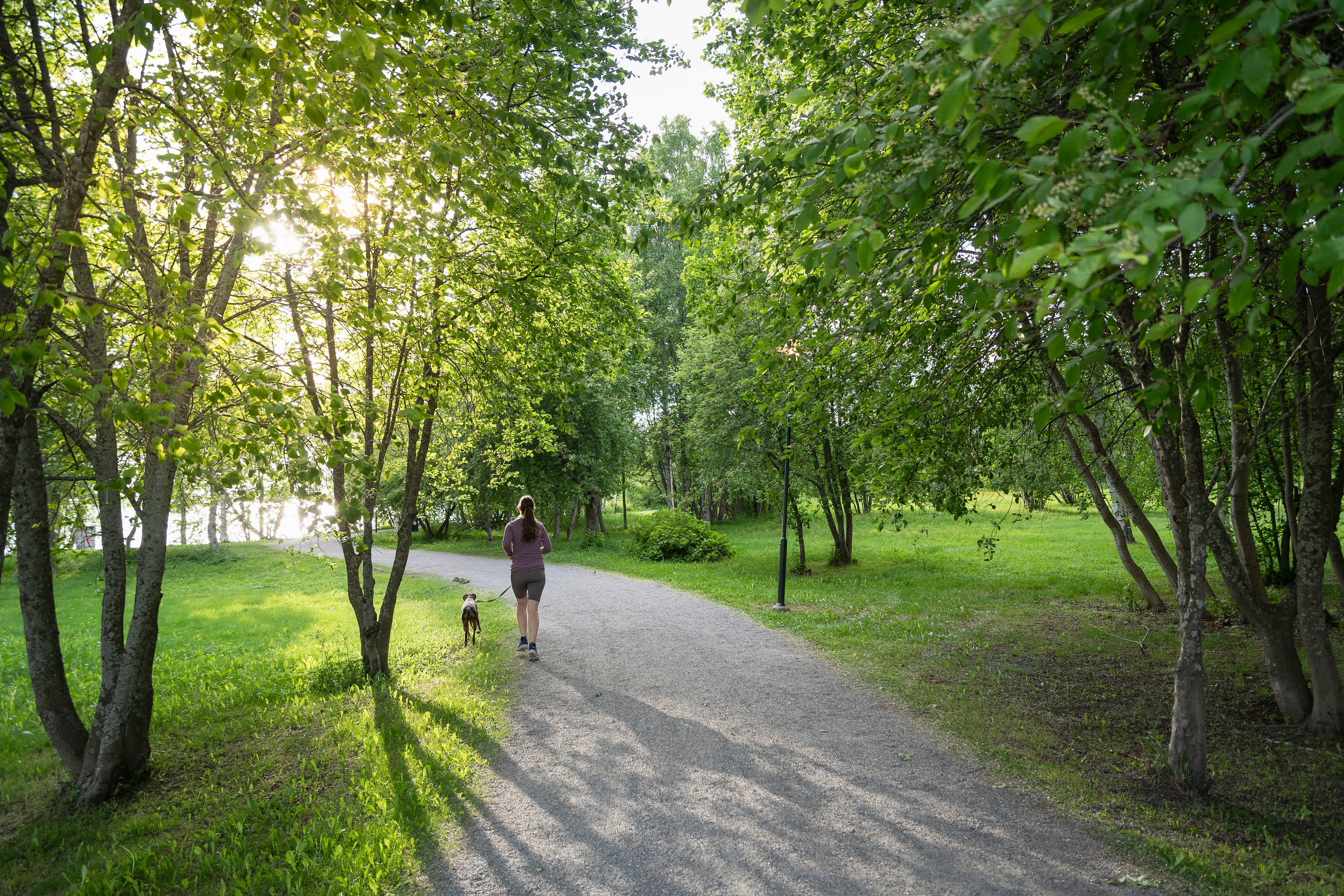 Woman walking dog on park path in evening light