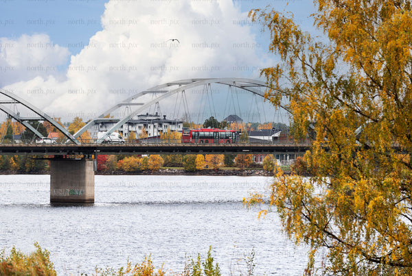 Bridge with red bus over river in autumn