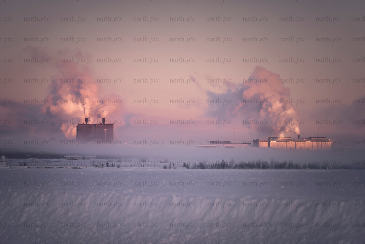 Industrial plant with steam plumes in winter morning