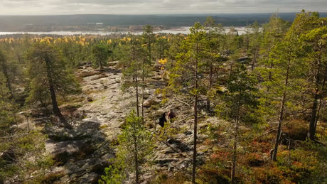 Autumn Hike in Luleå, Sweden: Drone View of Two People Exploring the Forest