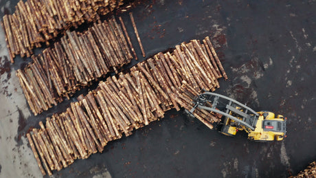 Aerial View of Forestry Industry Site With Logs and Forklift